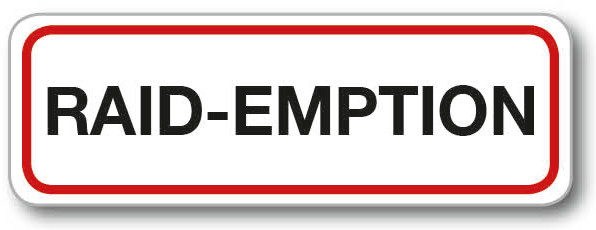 David Nguyen auteur raid-emption nombre7