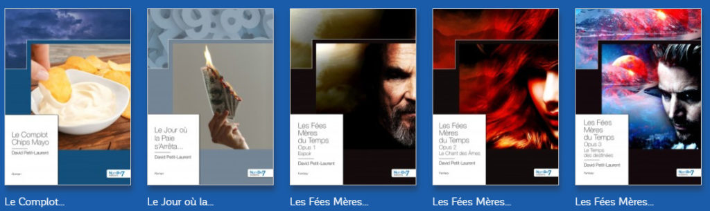 Bibliographie David Petit-Laurent