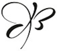 Papillon de lumière