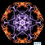 La littérature ésotérique ne se cache plus