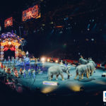 Quand les écrivains se mettent en scène !