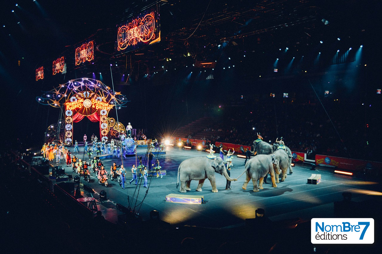 Quand les écrivains se mettent en scène !