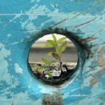 Ecrire pour avancer, écrire pour continuer …