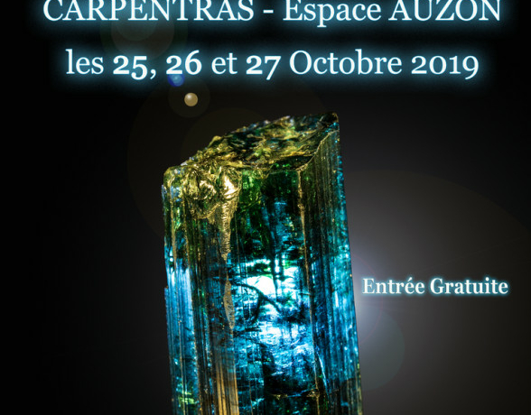 Salon auteur Nombre7