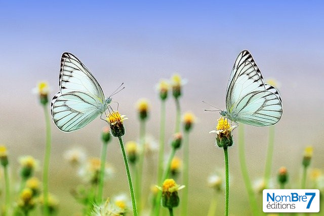 La fin du monde se retrouve dans nos livres