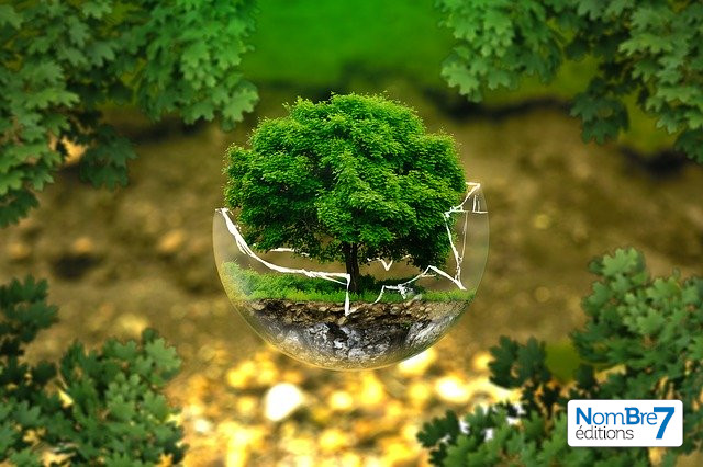 En 2020, faisons exploser le plafond de verre !