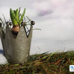 Nombre7, incubateur de talents !