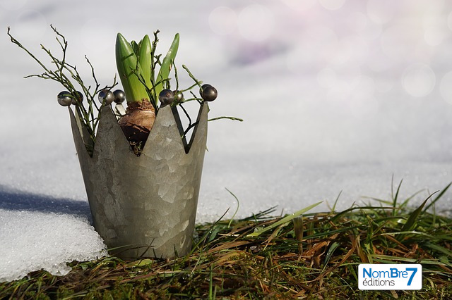 Nombre7, incubateur de talents !