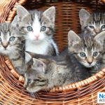 Réseaux sociaux : les bonnes pratiques