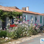 Les premières chroniques de nos ambassadrices