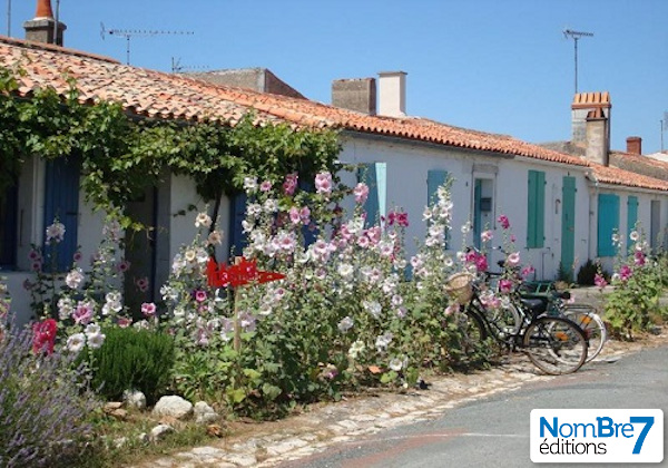 Les premières chroniques de nos ambassadrices