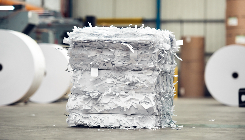 édition et écologie