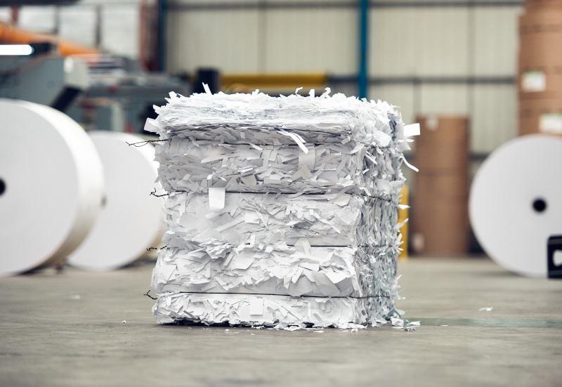 Édition et écologie : de la littérature verte